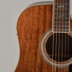 Sigma akusztikus gitár elektronikával, Limitált kiadás