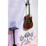 Sigma akusztikus gitár elektronikával, Limitált kiadás