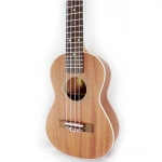 Peavey Student concert ukulele