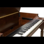 Hammond XK-5 professzionális classic orgona